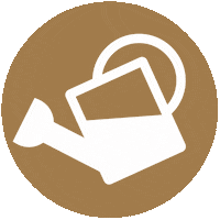 Icons Sonne Sticker by gruenerleben