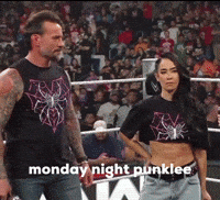 Cm Punk GIF
