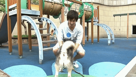 cuteanimalland giphyupload GIF