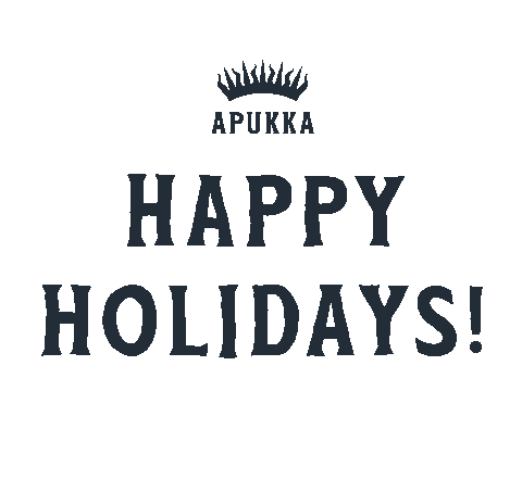 Rovaniemi Arcticcircle Sticker by Apukka Resort