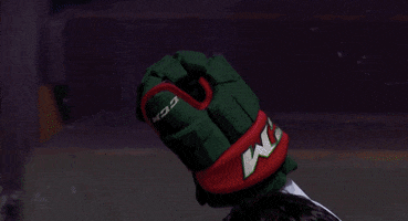 Ice Hockey GIF by NHL