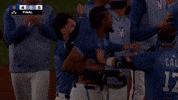 Washington Nationals Win GIF by MLB
