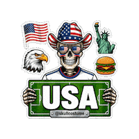 Estados Unidos Soccer Sticker