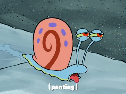 new leaf episode 13 GIF by SpongeBob SquarePants