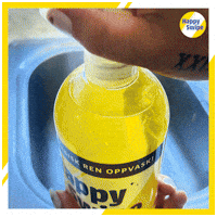 europris krom vaske europris dusj GIF