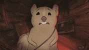 season 1 cats GIF by Animals