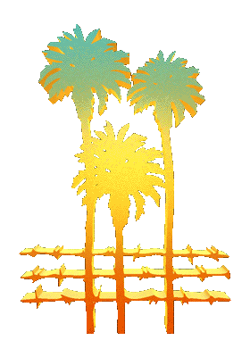 Palm Tree Rainbow Sticker by Free & Easy