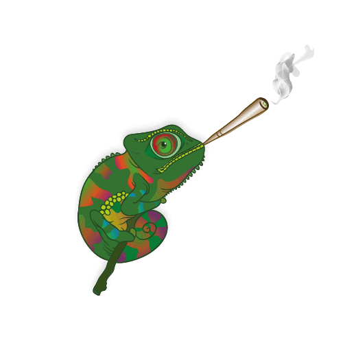 smoke chameleon Sticker by PURIZE® Filters