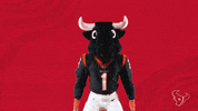 National Football League GIF by Houston Texans