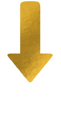 Golden Arrow Sticker by THE CIRCLE