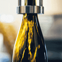 astadvingard party wine drinks bottle GIF