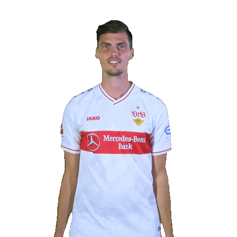 Hochwischen Swipe Up Sticker by VfB Stuttgart