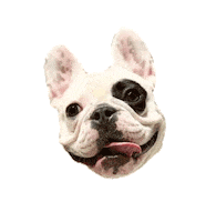 Dog R29 Sticker by Refinery29