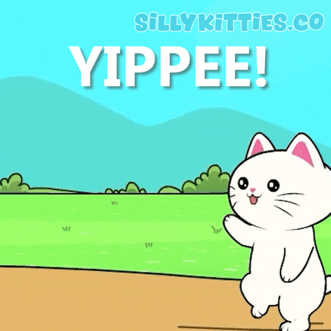 Happy Lets Go GIF by Silly Kitties