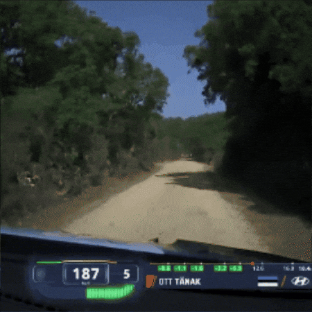 Full Throttle Racing GIF by FIA World Rally Championship