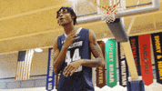 vwu_marlins marlins vwu wethebeach virginiawesleyan GIF