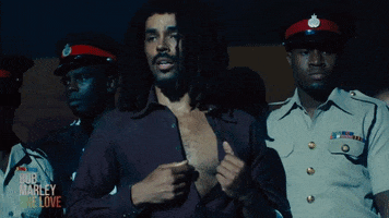 Bob Marley Reggae GIF by Bob Marley: One Love