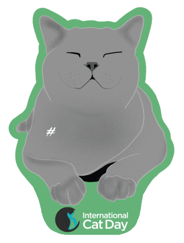 icatcare cat kitty happycat greycat Sticker