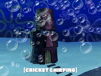 season 5 to love a patty GIF by SpongeBob SquarePants