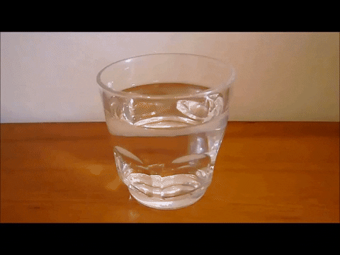 Simongip giphygifmaker GIF