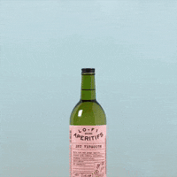 lofiaperitifs lofi lo-fi amaro vermouth GIF