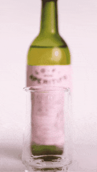 lofiaperitifs lofi lo-fi vermouth lofi aperitifs GIF