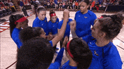 watch me work here we go GIF by WNBA