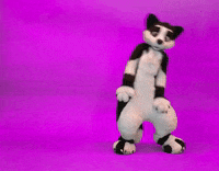furrie i sit on you GIF by beeeky