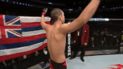 ufc 207 GIF