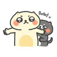 Shield Protect GIF