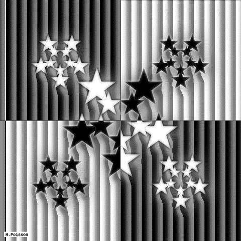 b&w art GIF by Michel Poisson