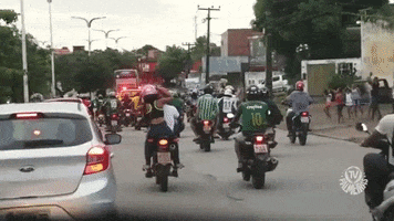 Palmeiras palmeiras torcida sao luis GIF