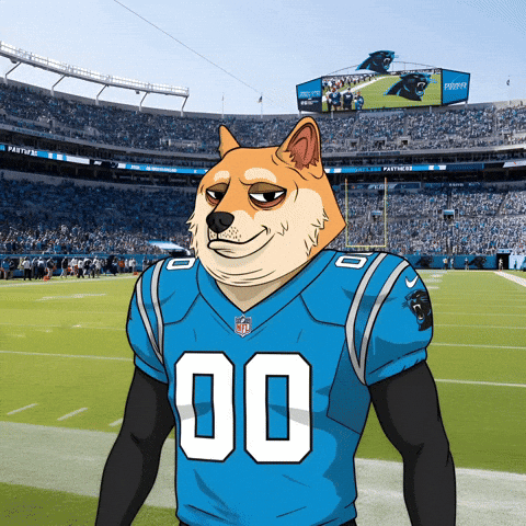 Shiba Inu Football GIF by Doge Pound