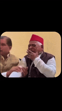 Trending Memes GIF