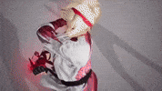 Karate Poland GIF by BANDAI NAMCO