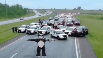 Panda T-Pose GIF by Endangered Labs