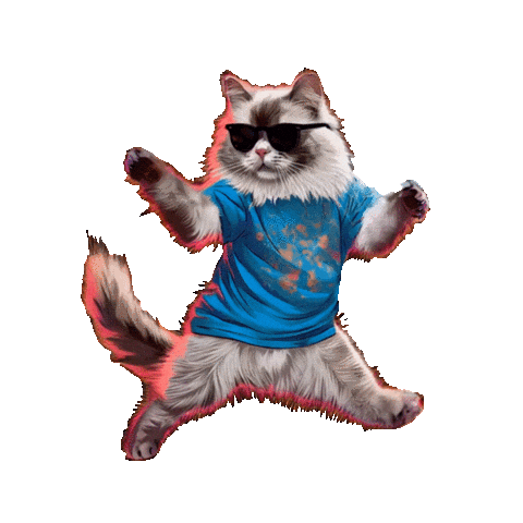 Transparency Dancing Cat Sticker
