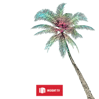 Supercarblondie Scb2019 Sticker by Insight TV