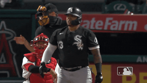 Regular Season Sport GIF by MLB