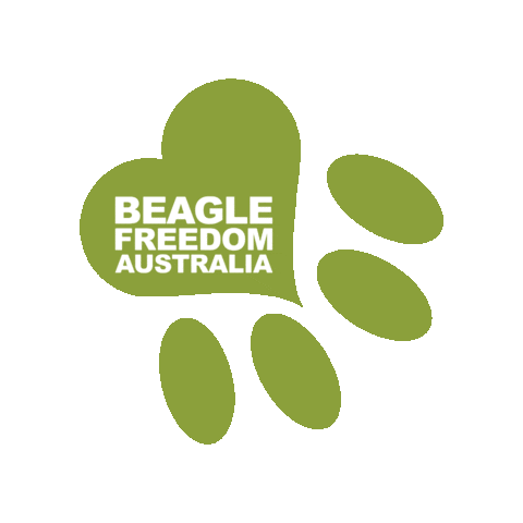 BeagleFreedomAustralia giphygifmaker love cat heart Sticker