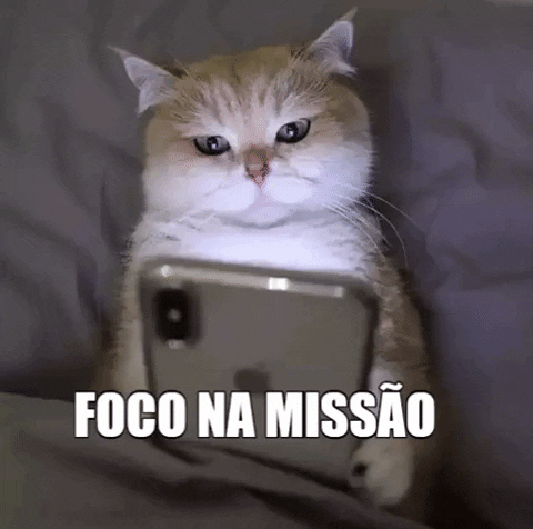 keytymedeiros giphygifmaker cat foconamissao GIF