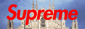 Boxlogo GIF by nss sports