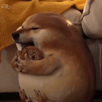 Dog Eat GIF by Respective