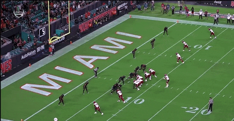 therealessad giphygifgrabber touchdown nc state Leary GIF