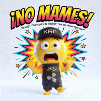 No Way Omg GIF by SaluteXRPL