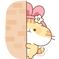 Lookiivn cutie cute cat funny cat de thuong Sticker