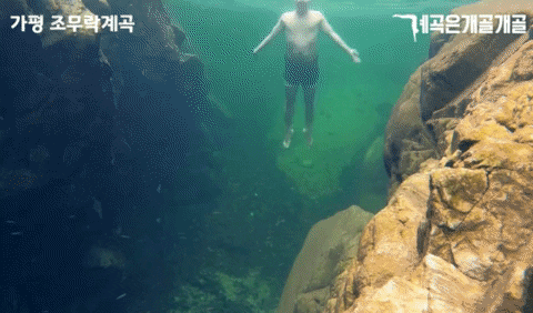 llllllsss giphyupload GIF