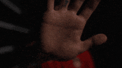 Germany Football GIF by Bundesliga