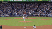 Home Run Sport GIF by MLB