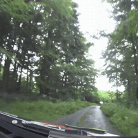 Czech Driving Too Fast GIF by FIA European Rally Championship